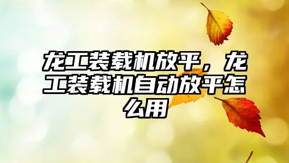 龍工裝載機放平，龍工裝載機自動放平怎么用