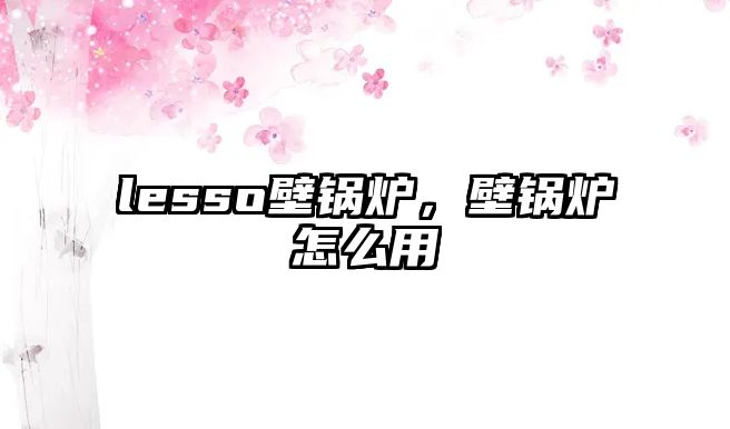 lesso壁鍋爐，壁鍋爐怎么用