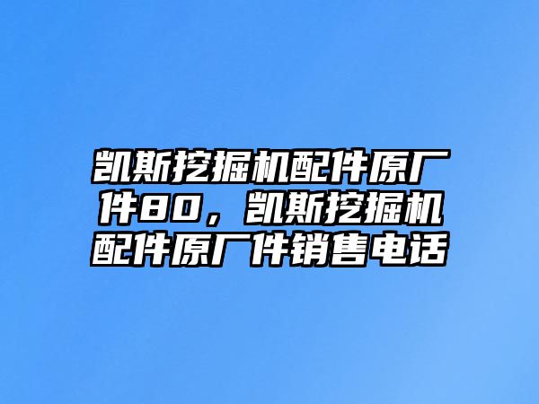 凱斯挖掘機(jī)配件原廠件80，凱斯挖掘機(jī)配件原廠件銷(xiāo)售電話