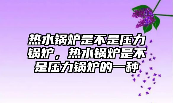 熱水鍋爐是不是壓力鍋爐，熱水鍋爐是不是壓力鍋爐的一種