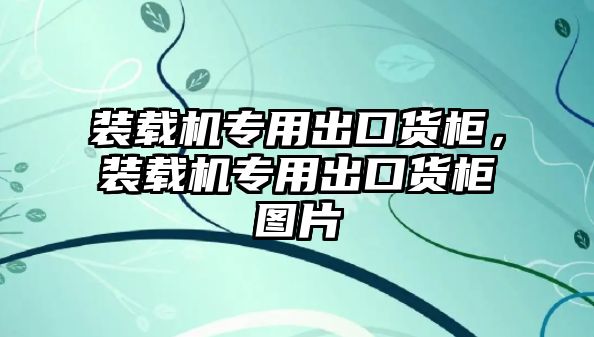 裝載機專用出口貨柜，裝載機專用出口貨柜圖片