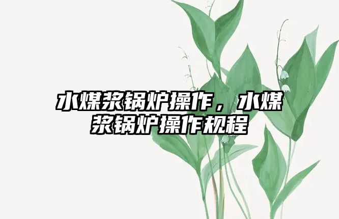 水煤漿鍋爐操作，水煤漿鍋爐操作規(guī)程