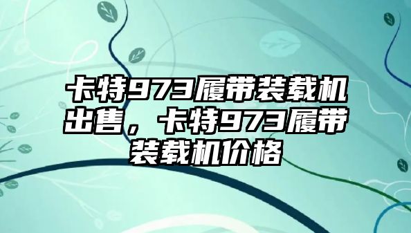 卡特973履帶裝載機(jī)出售，卡特973履帶裝載機(jī)價(jià)格