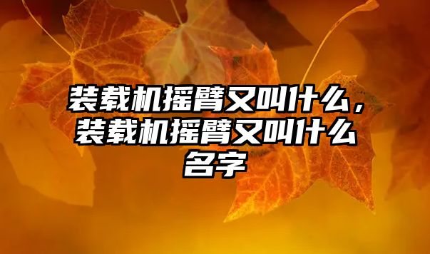 裝載機搖臂又叫什么，裝載機搖臂又叫什么名字