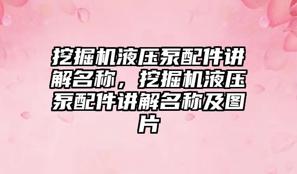 挖掘機液壓泵配件講解名稱，挖掘機液壓泵配件講解名稱及圖片