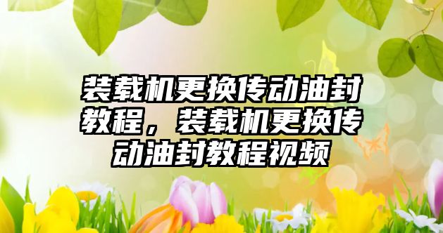 裝載機更換傳動油封教程，裝載機更換傳動油封教程視頻