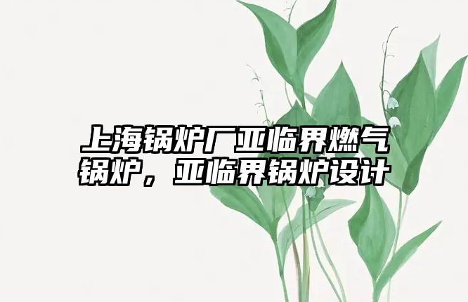 上海鍋爐廠亞臨界燃?xì)忮仩t，亞臨界鍋爐設(shè)計