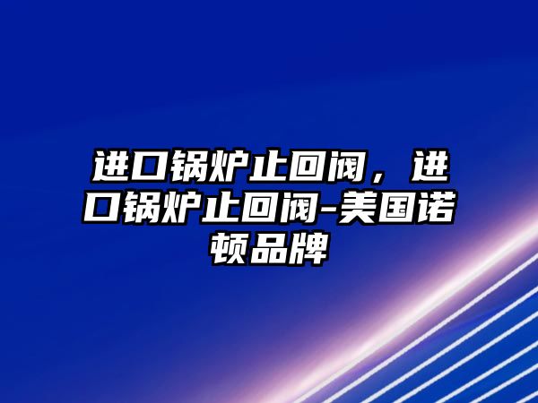 進(jìn)口鍋爐止回閥，進(jìn)口鍋爐止回閥-美國諾頓品牌