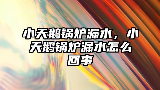 小天鵝鍋爐漏水，小天鵝鍋爐漏水怎么回事