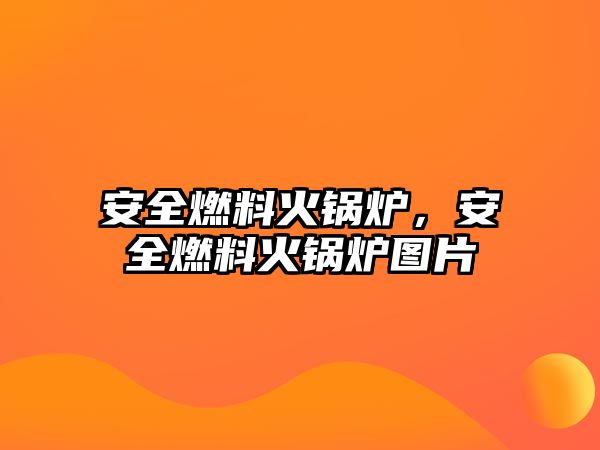 安全燃料火鍋爐，安全燃料火鍋爐圖片