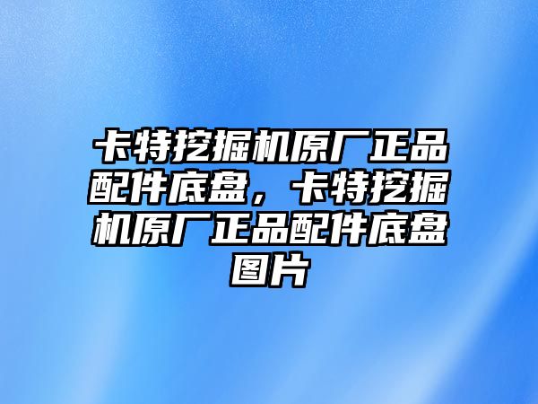 卡特挖掘機(jī)原廠正品配件底盤，卡特挖掘機(jī)原廠正品配件底盤圖片