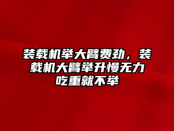 裝載機(jī)舉大臂費(fèi)勁，裝載機(jī)大臂舉升慢無力吃重就不舉