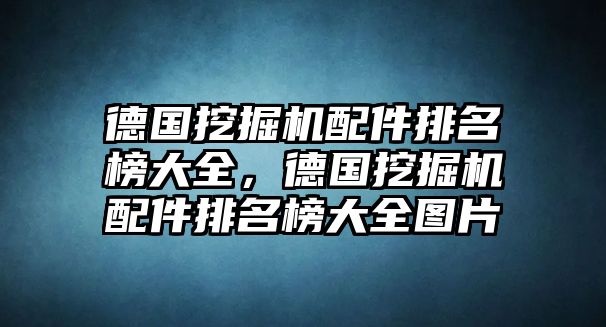 德國(guó)挖掘機(jī)配件排名榜大全，德國(guó)挖掘機(jī)配件排名榜大全圖片