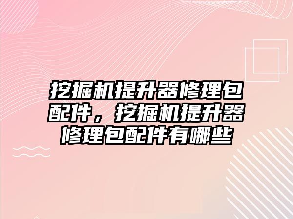 挖掘機提升器修理包配件，挖掘機提升器修理包配件有哪些