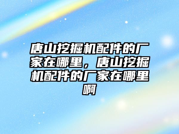 唐山挖掘機配件的廠家在哪里，唐山挖掘機配件的廠家在哪里啊