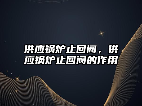 供應(yīng)鍋爐止回閥，供應(yīng)鍋爐止回閥的作用