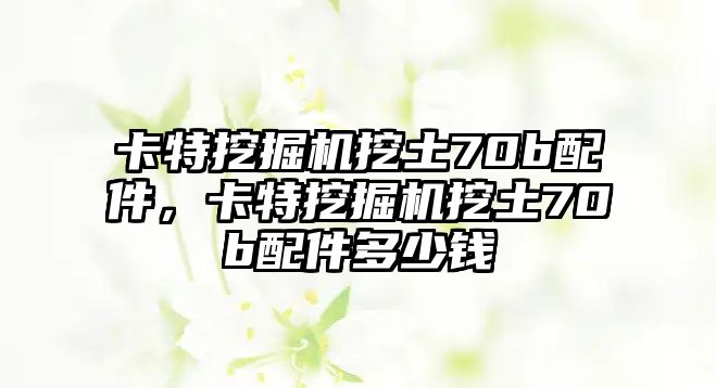 卡特挖掘機挖土70b配件，卡特挖掘機挖土70b配件多少錢