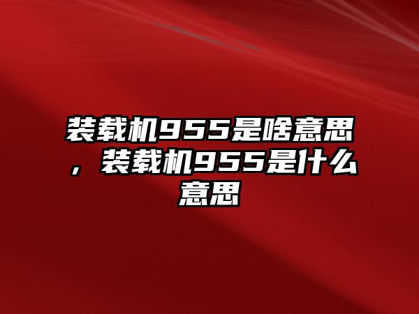 裝載機955是啥意思，裝載機955是什么意思