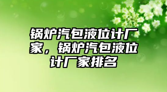 鍋爐汽包液位計廠家，鍋爐汽包液位計廠家排名