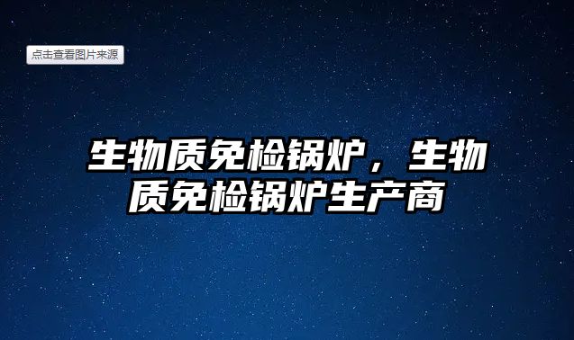 生物質(zhì)免檢鍋爐，生物質(zhì)免檢鍋爐生產(chǎn)商