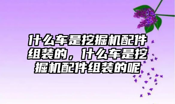 什么車是挖掘機(jī)配件組裝的，什么車是挖掘機(jī)配件組裝的呢