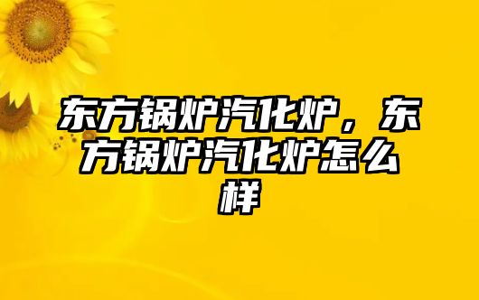 東方鍋爐汽化爐，東方鍋爐汽化爐怎么樣