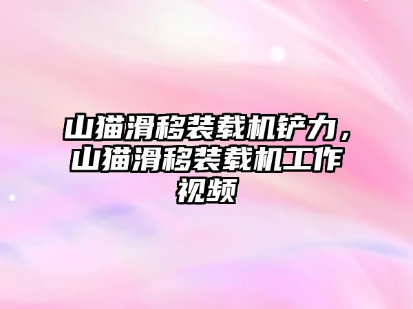 山貓滑移裝載機鏟力，山貓滑移裝載機工作視頻