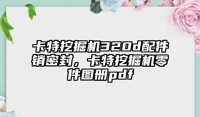 卡特挖掘機(jī)320d配件銷密封，卡特挖掘機(jī)零件圖冊(cè)pdf