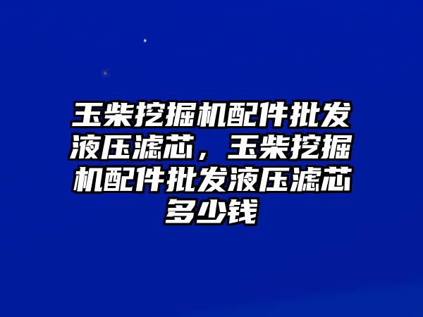 玉柴挖掘機配件批發(fā)液壓濾芯，玉柴挖掘機配件批發(fā)液壓濾芯多少錢