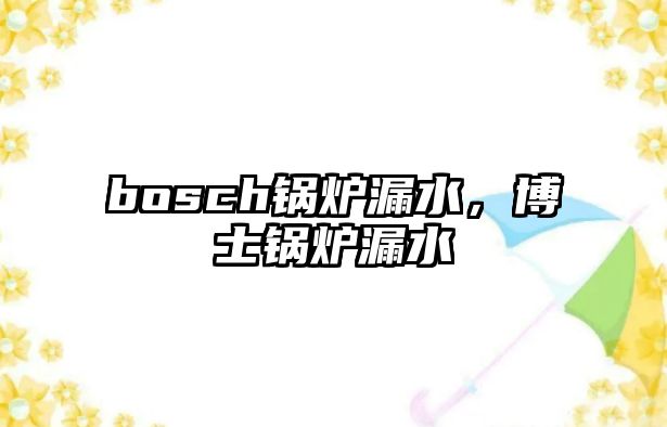 bosch鍋爐漏水，博士鍋爐漏水