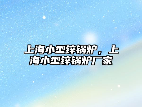 上海小型鋅鍋爐，上海小型鋅鍋爐廠家