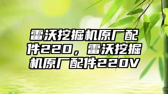 雷沃挖掘機原廠配件220，雷沃挖掘機原廠配件220V