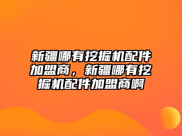 新疆哪有挖掘機配件加盟商，新疆哪有挖掘機配件加盟商啊