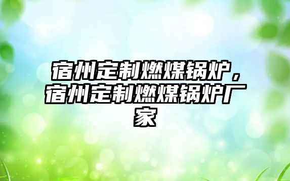 宿州定制燃煤鍋爐，宿州定制燃煤鍋爐廠家