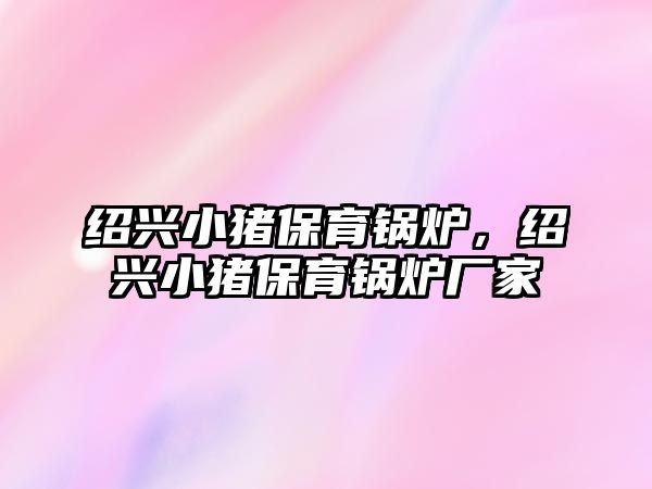 紹興小豬保育鍋爐，紹興小豬保育鍋爐廠家