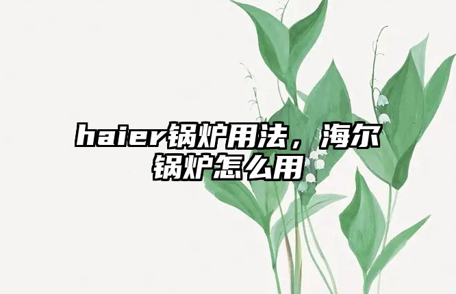 haier鍋爐用法，海爾鍋爐怎么用