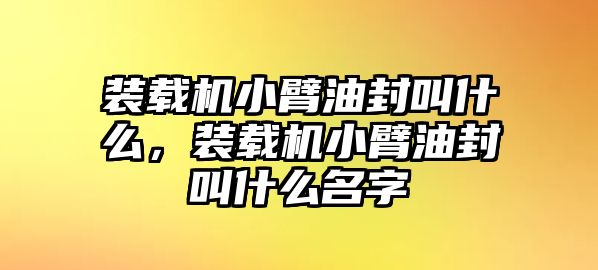 裝載機小臂油封叫什么，裝載機小臂油封叫什么名字