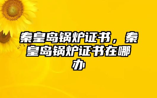 秦皇島鍋爐證書，秦皇島鍋爐證書在哪辦