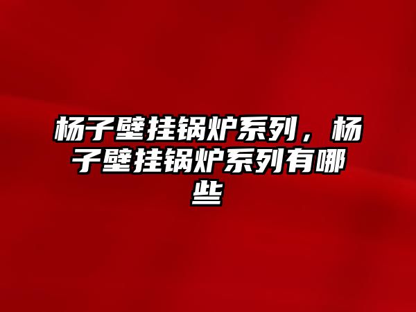 楊子壁掛鍋爐系列，楊子壁掛鍋爐系列有哪些