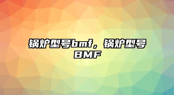 鍋爐型號bmf，鍋爐型號BMF