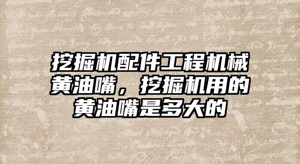 挖掘機配件工程機械黃油嘴，挖掘機用的黃油嘴是多大的