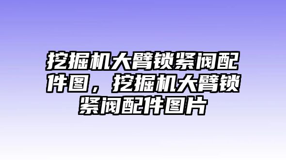 挖掘機大臂鎖緊閥配件圖，挖掘機大臂鎖緊閥配件圖片