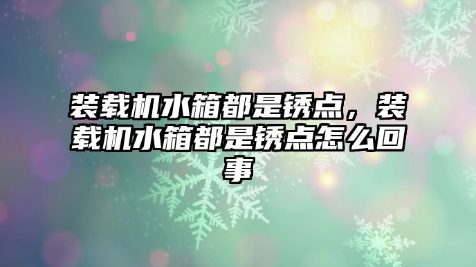 裝載機水箱都是銹點，裝載機水箱都是銹點怎么回事