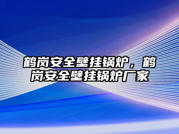 鶴崗安全壁掛鍋爐，鶴崗安全壁掛鍋爐廠家