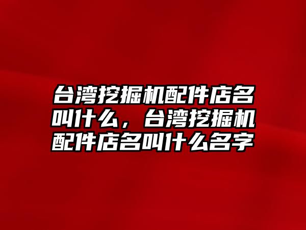 臺灣挖掘機(jī)配件店名叫什么，臺灣挖掘機(jī)配件店名叫什么名字