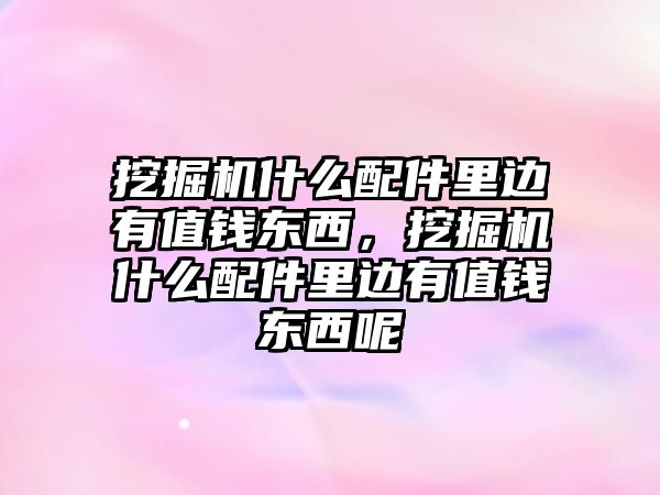 挖掘機(jī)什么配件里邊有值錢東西，挖掘機(jī)什么配件里邊有值錢東西呢