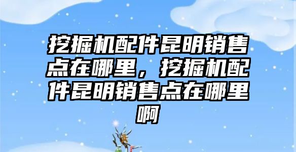 挖掘機配件昆明銷售點在哪里，挖掘機配件昆明銷售點在哪里啊