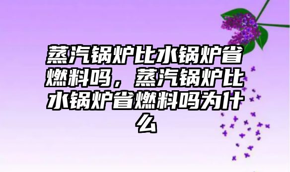 蒸汽鍋爐比水鍋爐省燃料嗎，蒸汽鍋爐比水鍋爐省燃料嗎為什么