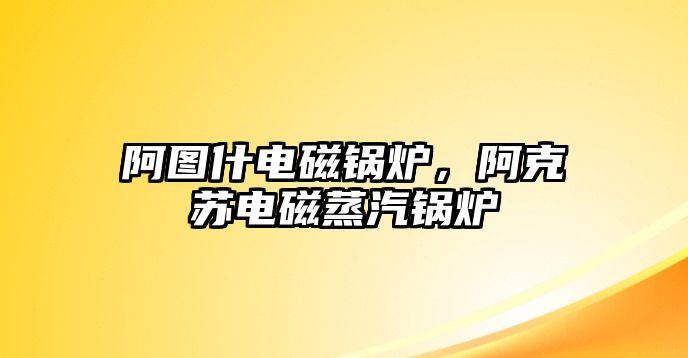 阿圖什電磁鍋爐，阿克蘇電磁蒸汽鍋爐