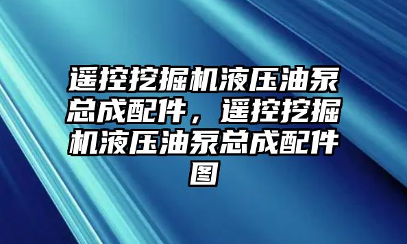 遙控挖掘機液壓油泵總成配件，遙控挖掘機液壓油泵總成配件圖